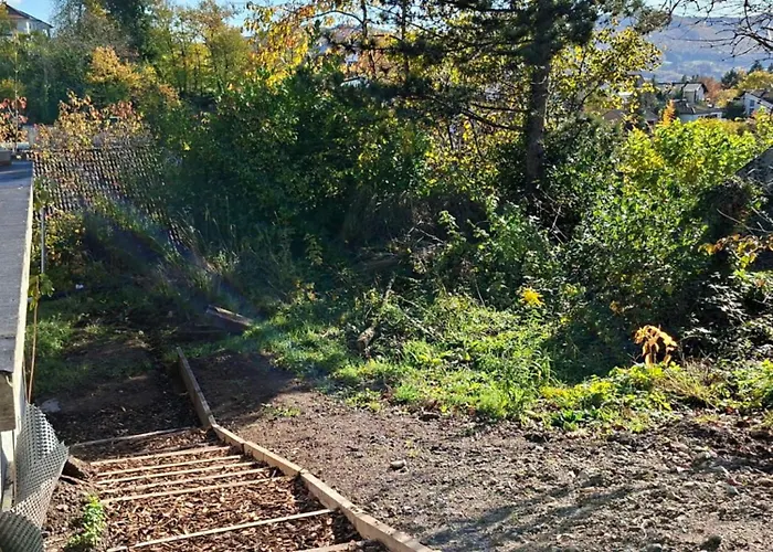 Luise Unterhalb Der Burg * Lindenfels